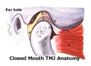 closed mouth TMJ anatomy