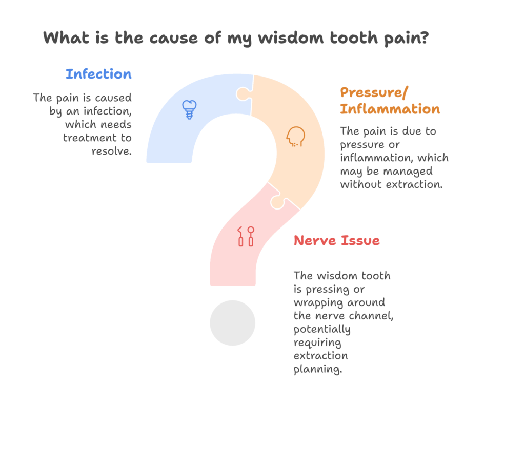 Educational diagram showing why nerves are affected by wisdom teeth, presented by Smile Concepts in Sydney. Our skilled team manages complex dental anatomy safely, ensuring high standards for all treatments including denture implants. We strive to provide the cheapest dental implants in Sydney without compromising on safety or quality. With transparent pricing, we ensure you understand the cost of dental implants in Sydney and oral surgery. For affordable dental implants and expert surgical care, trust Smile Concepts. Book your consultation with our experienced dentists today.